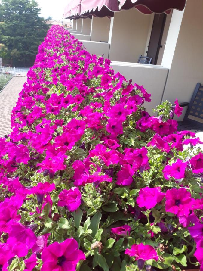Hotel Da Roberto Lazise Dış mekan fotoğraf